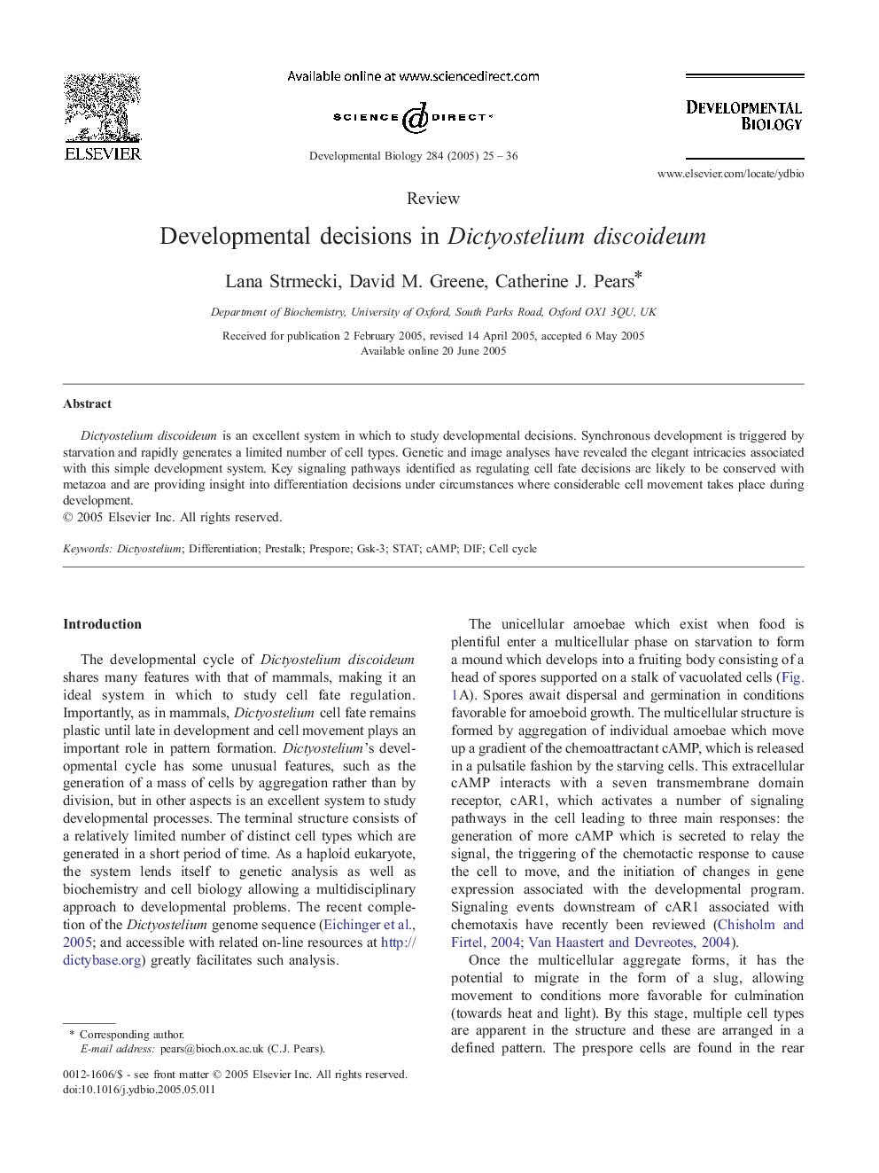 Developmental decisions in Dictyostelium discoideum