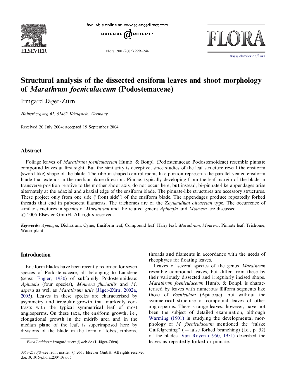 Structural analysis of the dissected ensiform leaves and shoot morphology of Marathrum foeniculaceum (Podostemaceae)