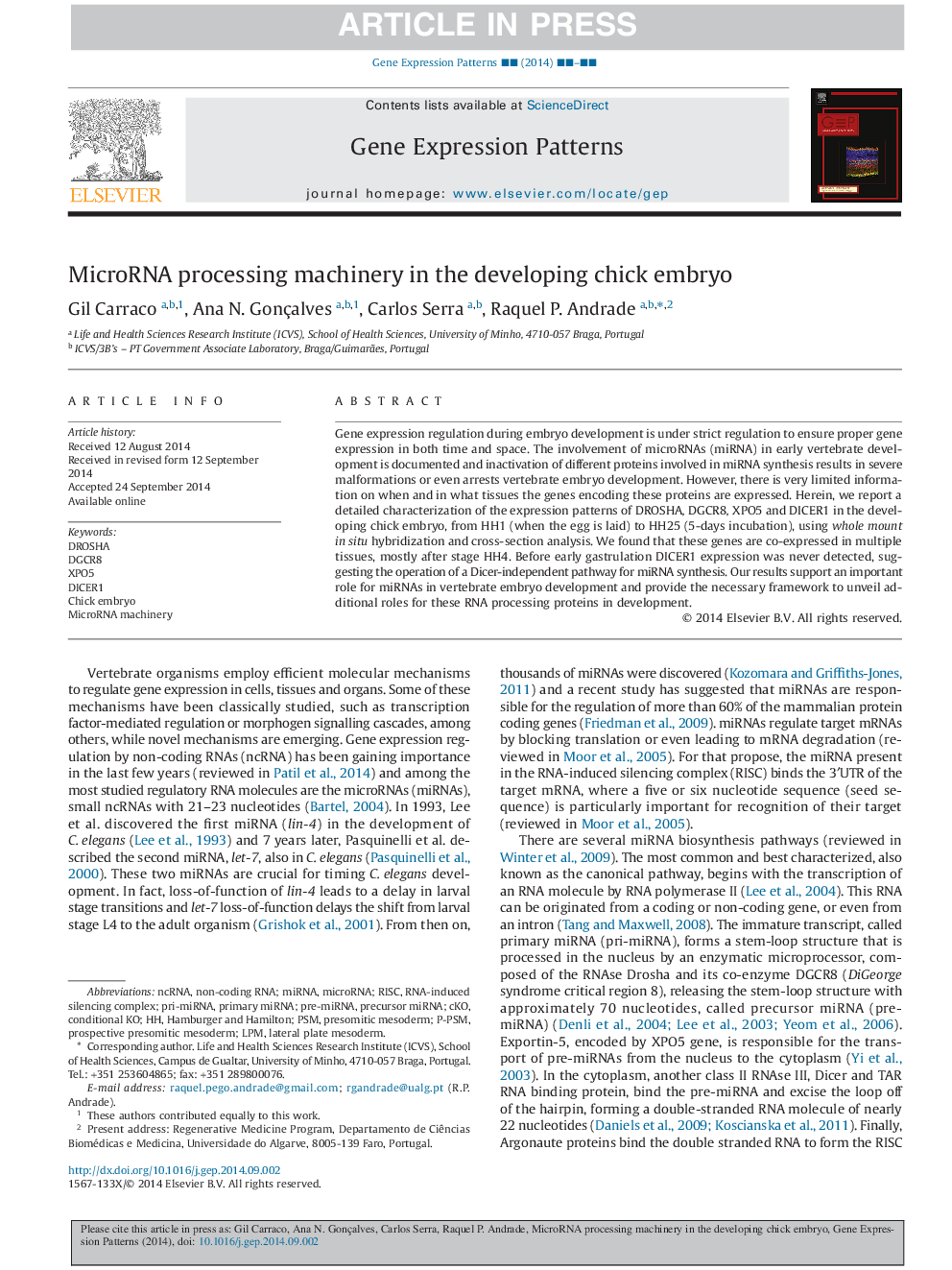 MicroRNA processing machinery in the developing chick embryo