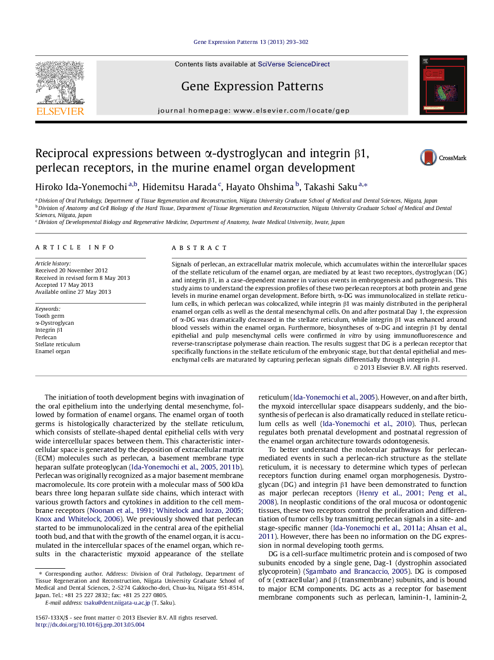 Reciprocal expressions between Î±-dystroglycan and integrin Î²1, perlecan receptors, in the murine enamel organ development
