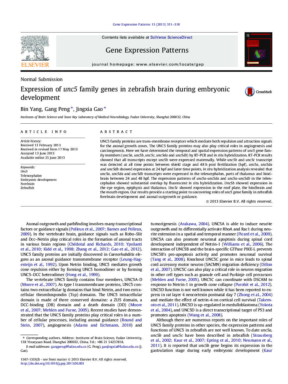 Expression of unc5 family genes in zebrafish brain during embryonic development