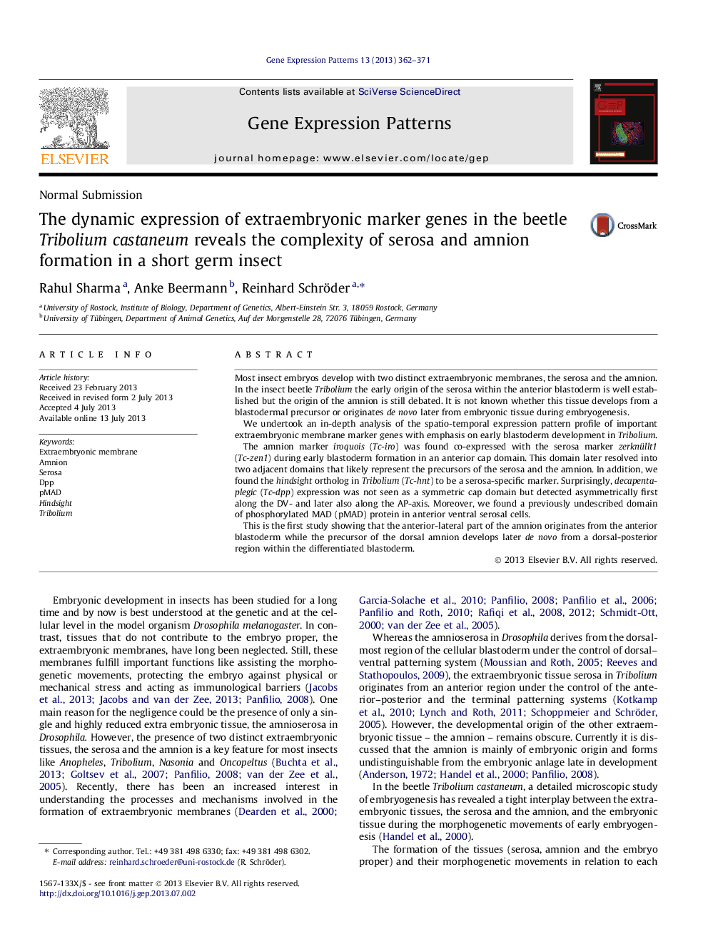 The dynamic expression of extraembryonic marker genes in the beetle Tribolium castaneum reveals the complexity of serosa and amnion formation in a short germ insect