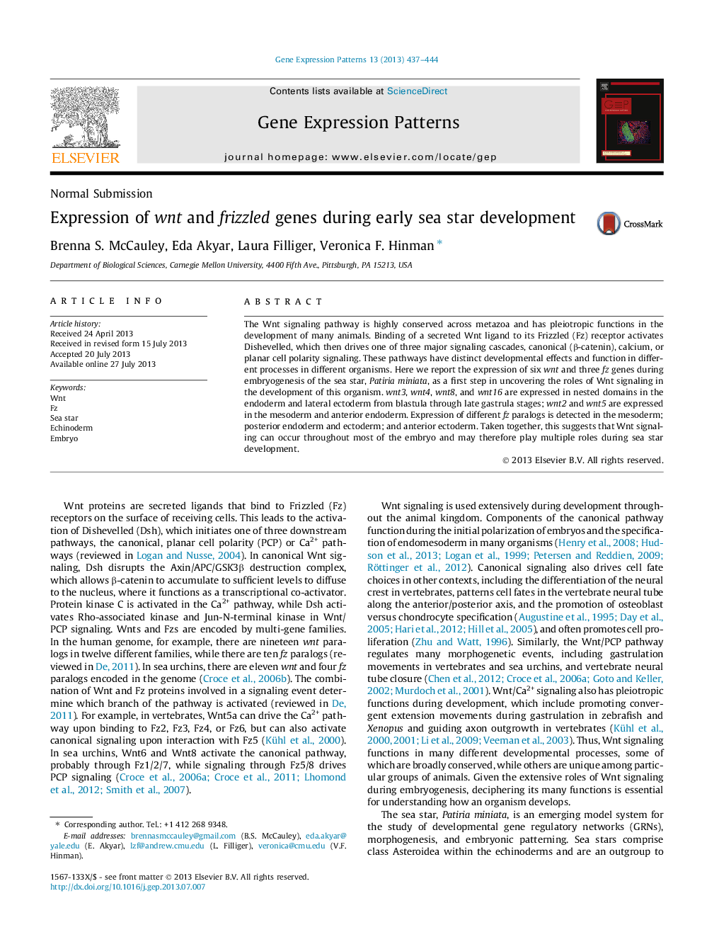 Expression of wnt and frizzled genes during early sea star development