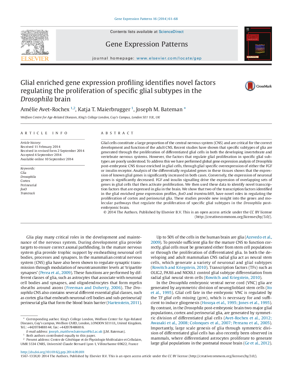 Glial enriched gene expression profiling identifies novel factors regulating the proliferation of specific glial subtypes in the Drosophila brain