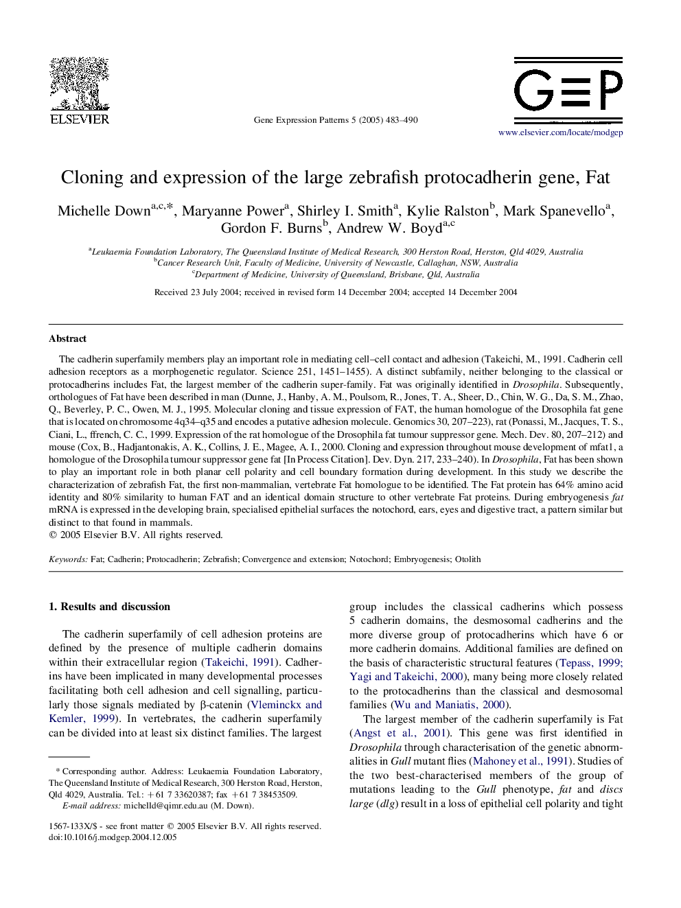 Cloning and expression of the large zebrafish protocadherin gene, Fat