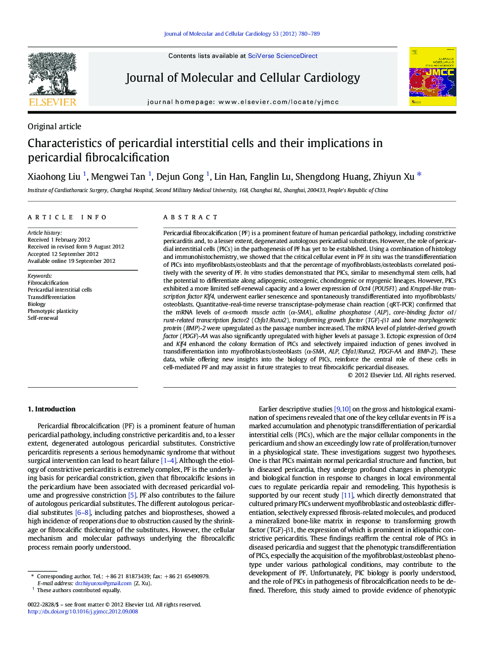 Characteristics of pericardial interstitial cells and their implications in pericardial fibrocalcification