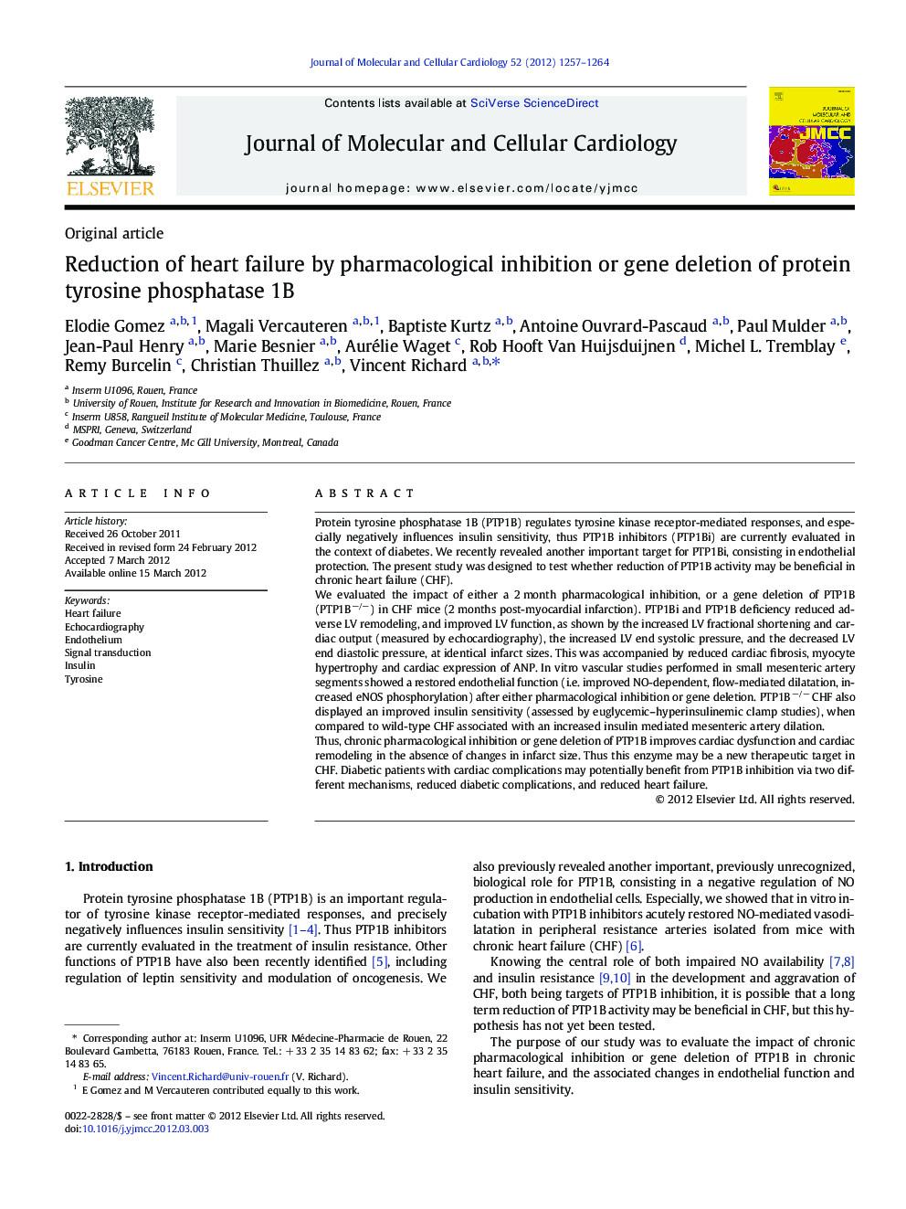 Reduction of heart failure by pharmacological inhibition or gene deletion of protein tyrosine phosphatase 1B