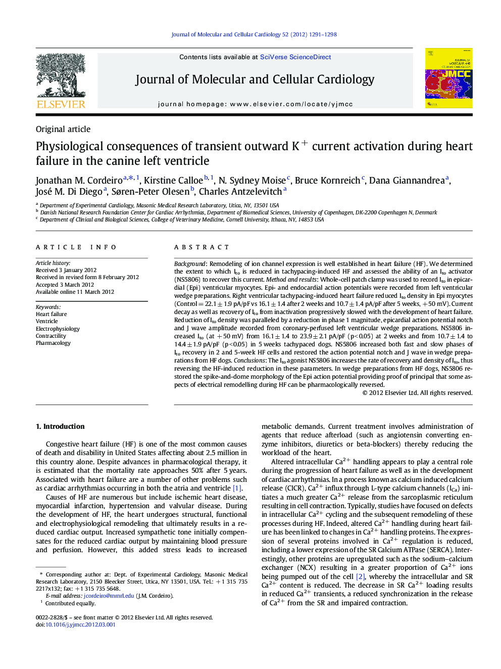 Physiological consequences of transient outward K+ current activation during heart failure in the canine left ventricle