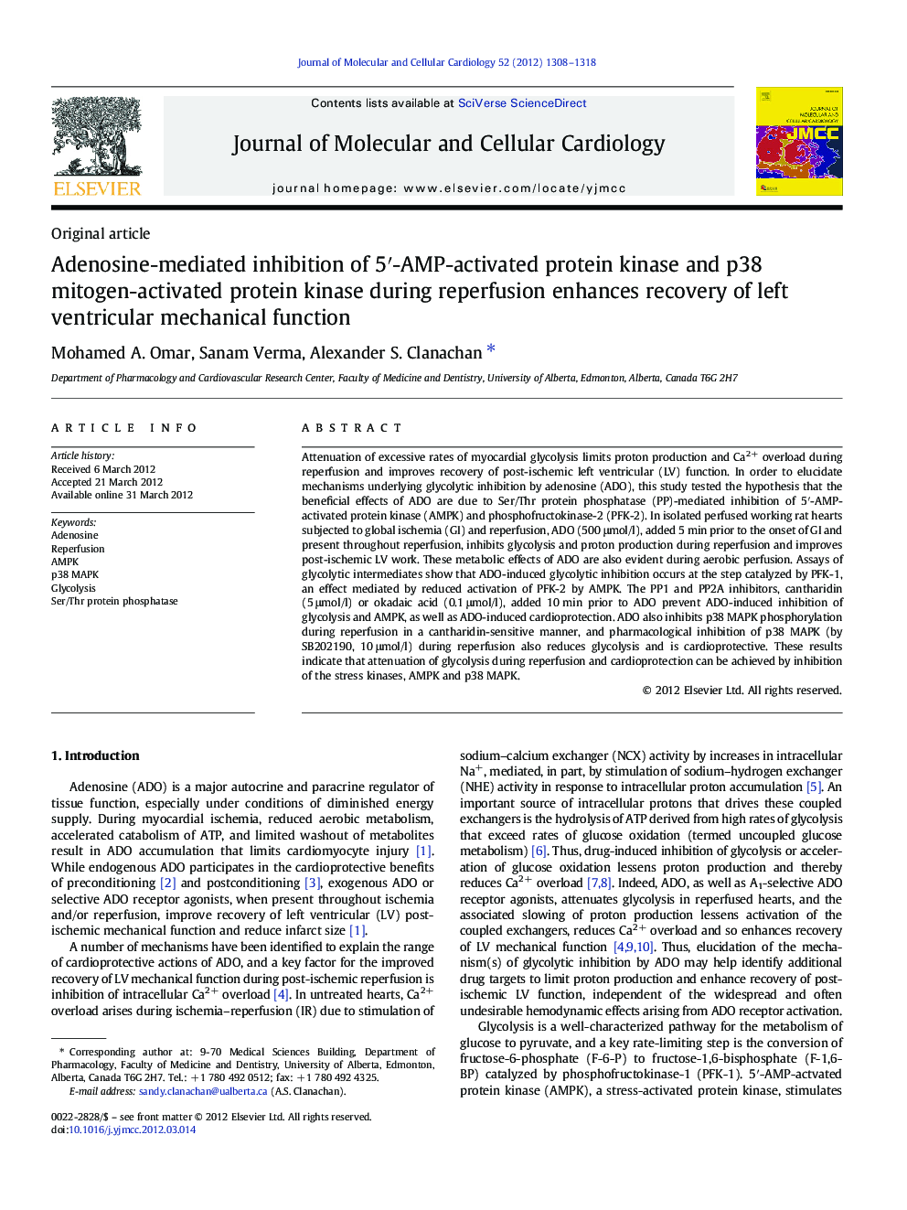 Adenosine-mediated inhibition of 5â²-AMP-activated protein kinase and p38 mitogen-activated protein kinase during reperfusion enhances recovery of left ventricular mechanical function