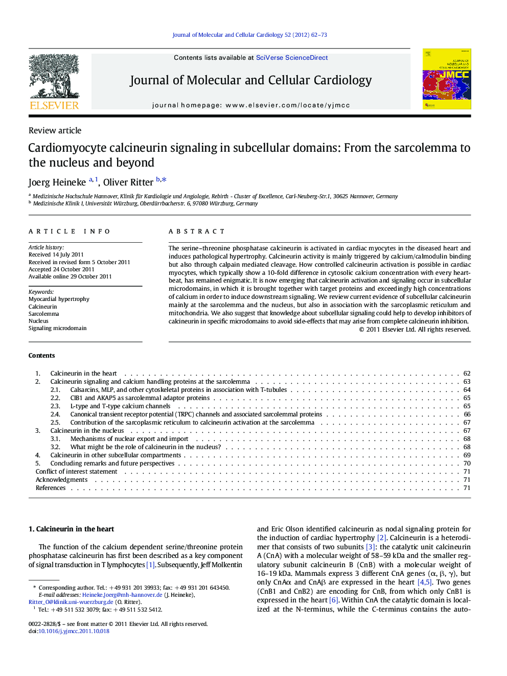 Cardiomyocyte calcineurin signaling in subcellular domains: From the sarcolemma to the nucleus and beyond