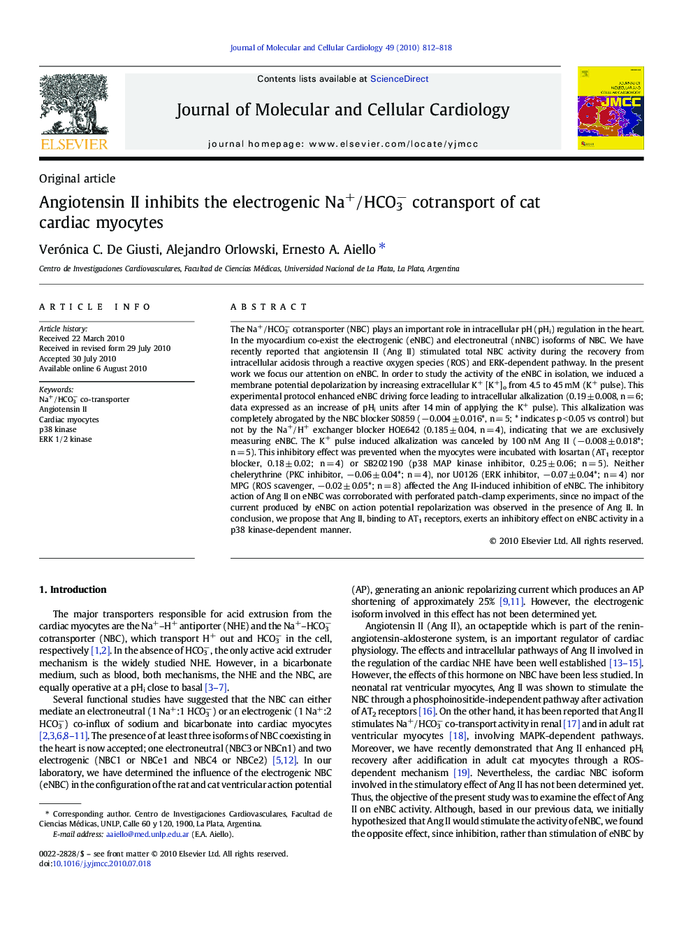 Angiotensin II inhibits the electrogenic Na+/HCO3â cotransport of cat cardiac myocytes