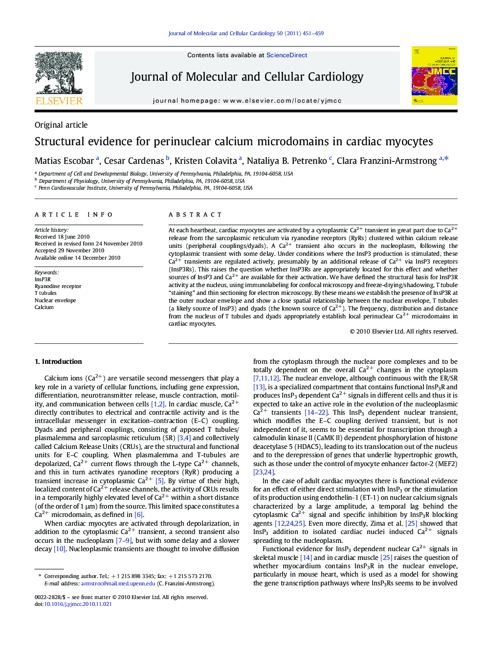 Structural evidence for perinuclear calcium microdomains in cardiac myocytes