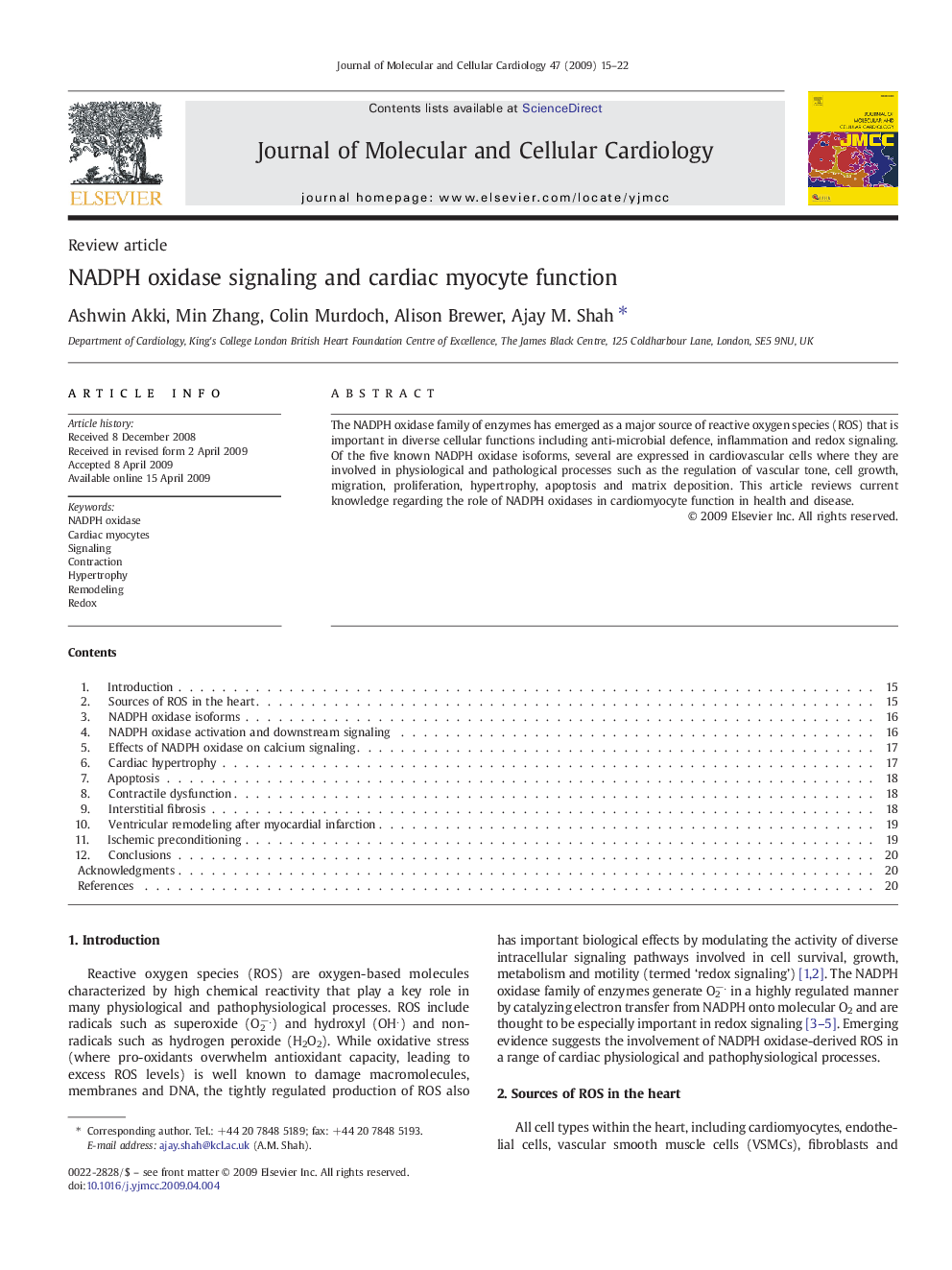 NADPH oxidase signaling and cardiac myocyte function