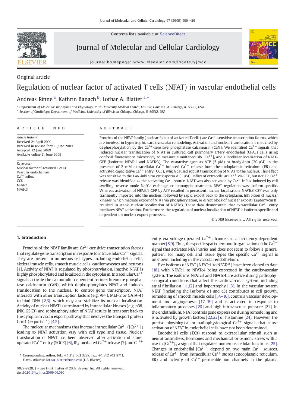 Regulation of nuclear factor of activated T cells (NFAT) in vascular endothelial cells