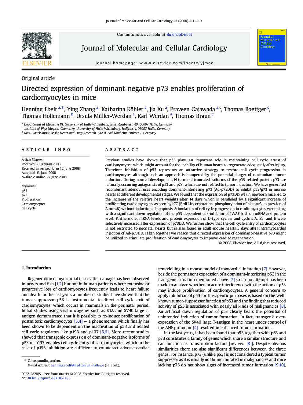 Directed expression of dominant-negative p73 enables proliferation of cardiomyocytes in mice