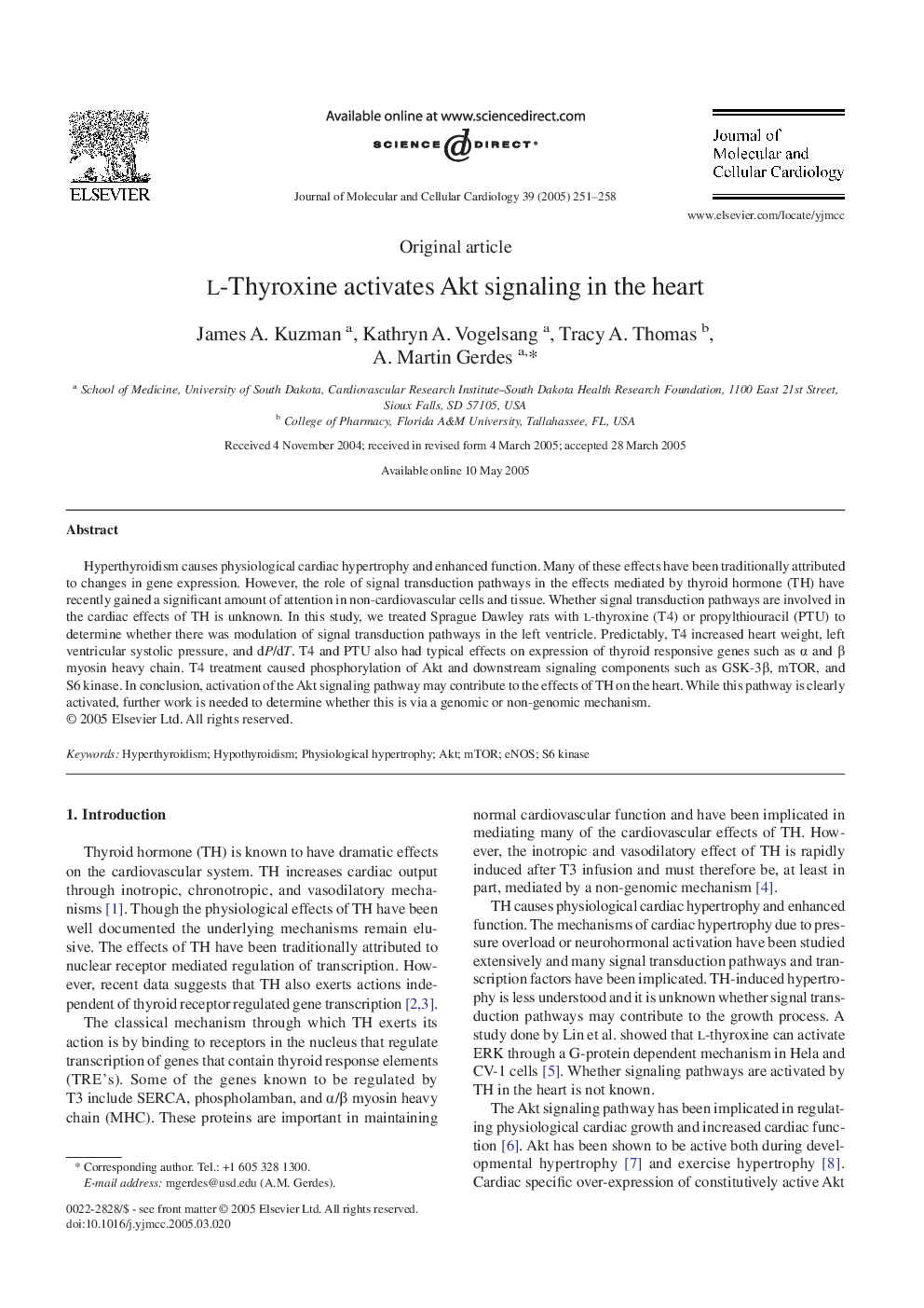 l-Thyroxine activates Akt signaling in the heart