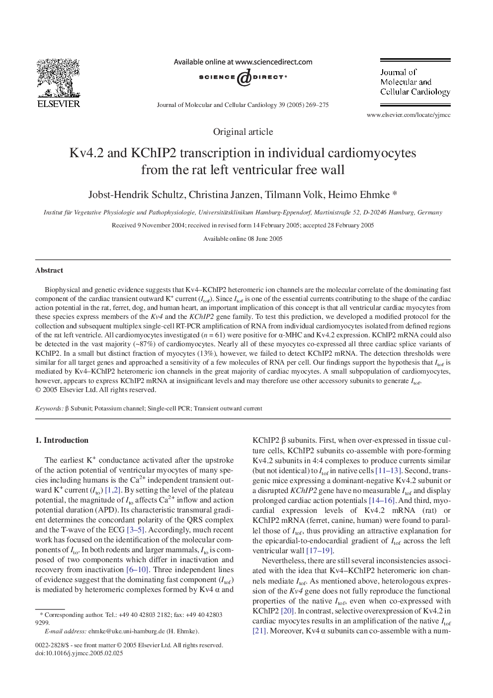 Kv4.2 and KChIP2 transcription in individual cardiomyocytes from the rat left ventricular free wall