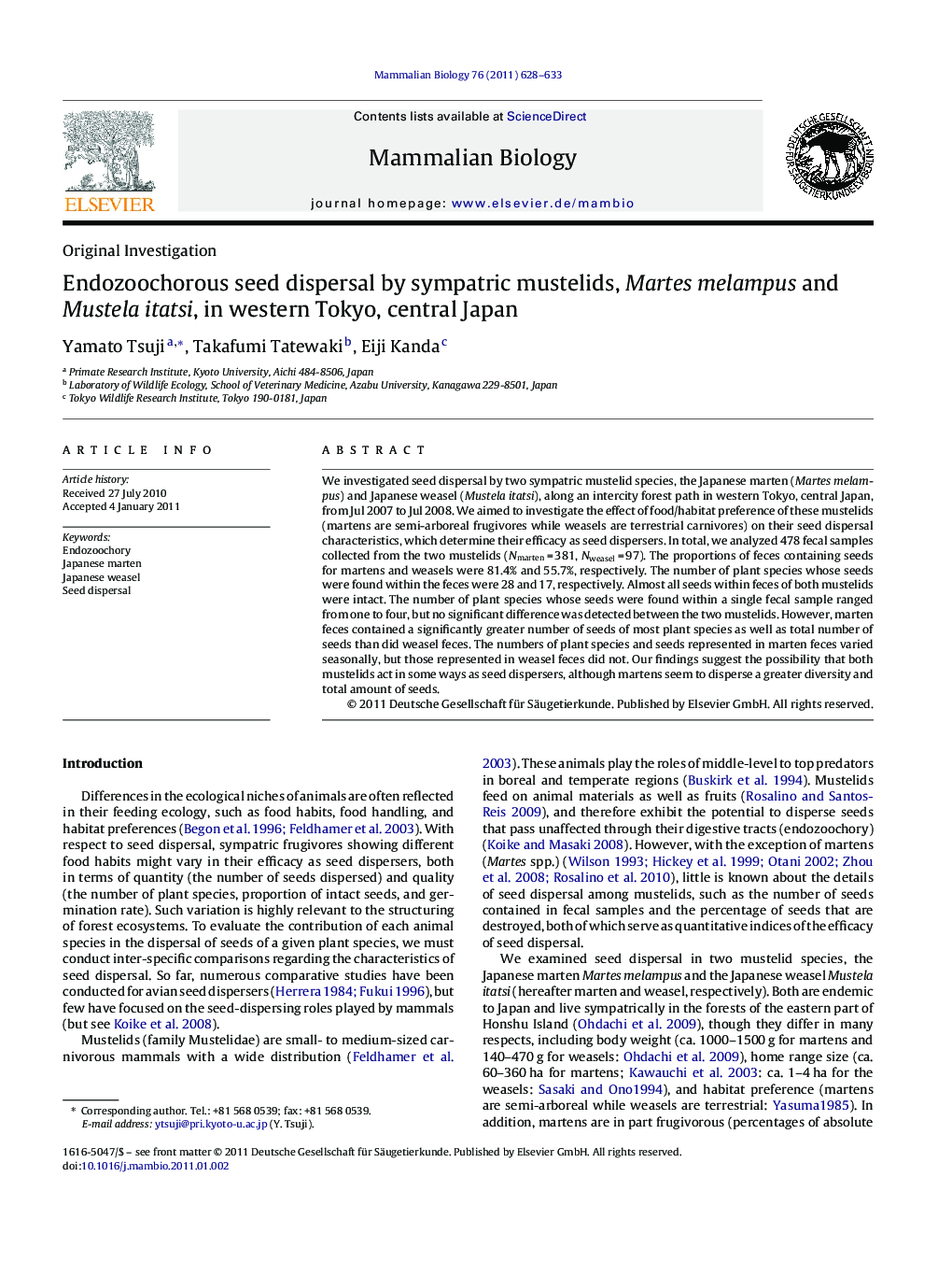 Endozoochorous seed dispersal by sympatric mustelids, Martes melampus and Mustela itatsi, in western Tokyo, central Japan