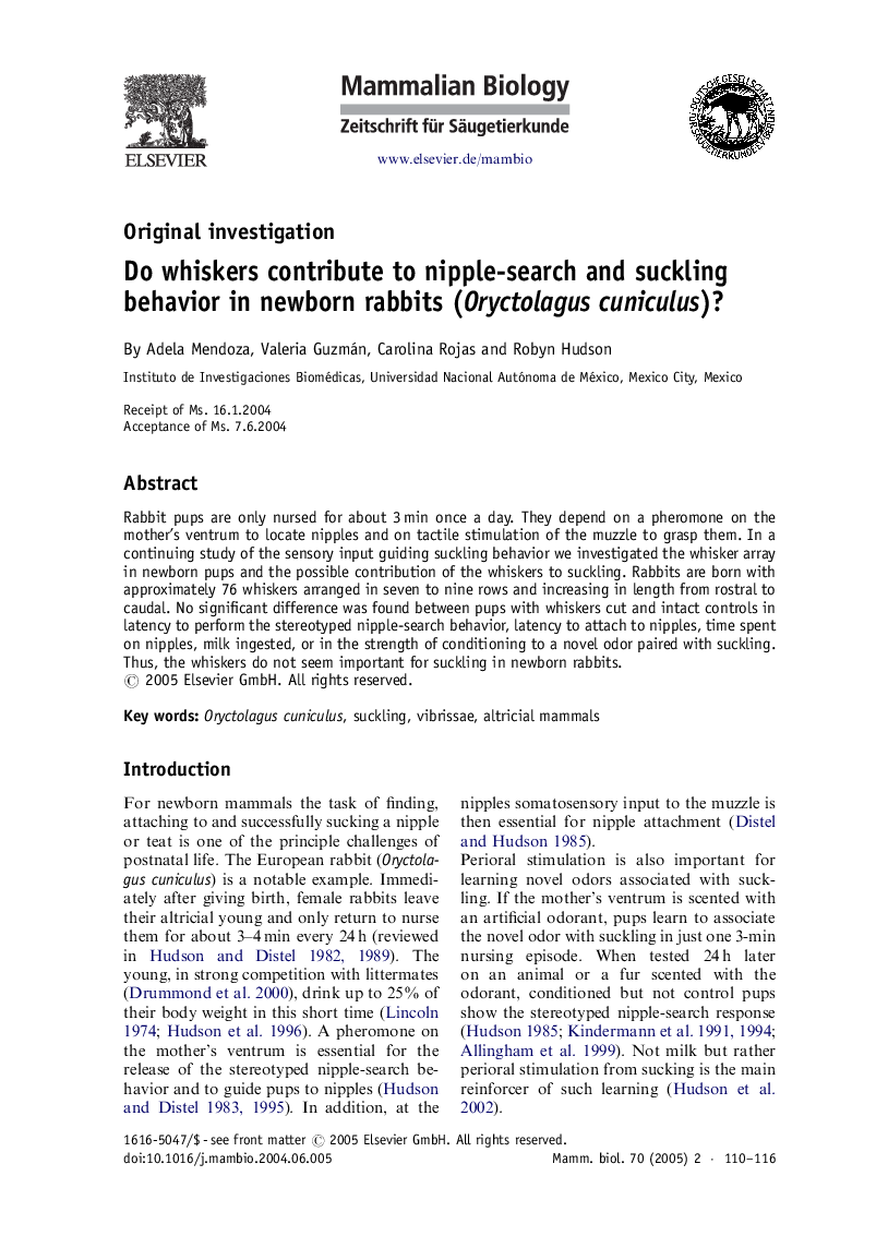 Do whiskers contribute to nipple-search and suckling behavior in newborn rabbits (Oryctolagus cuniculus)?