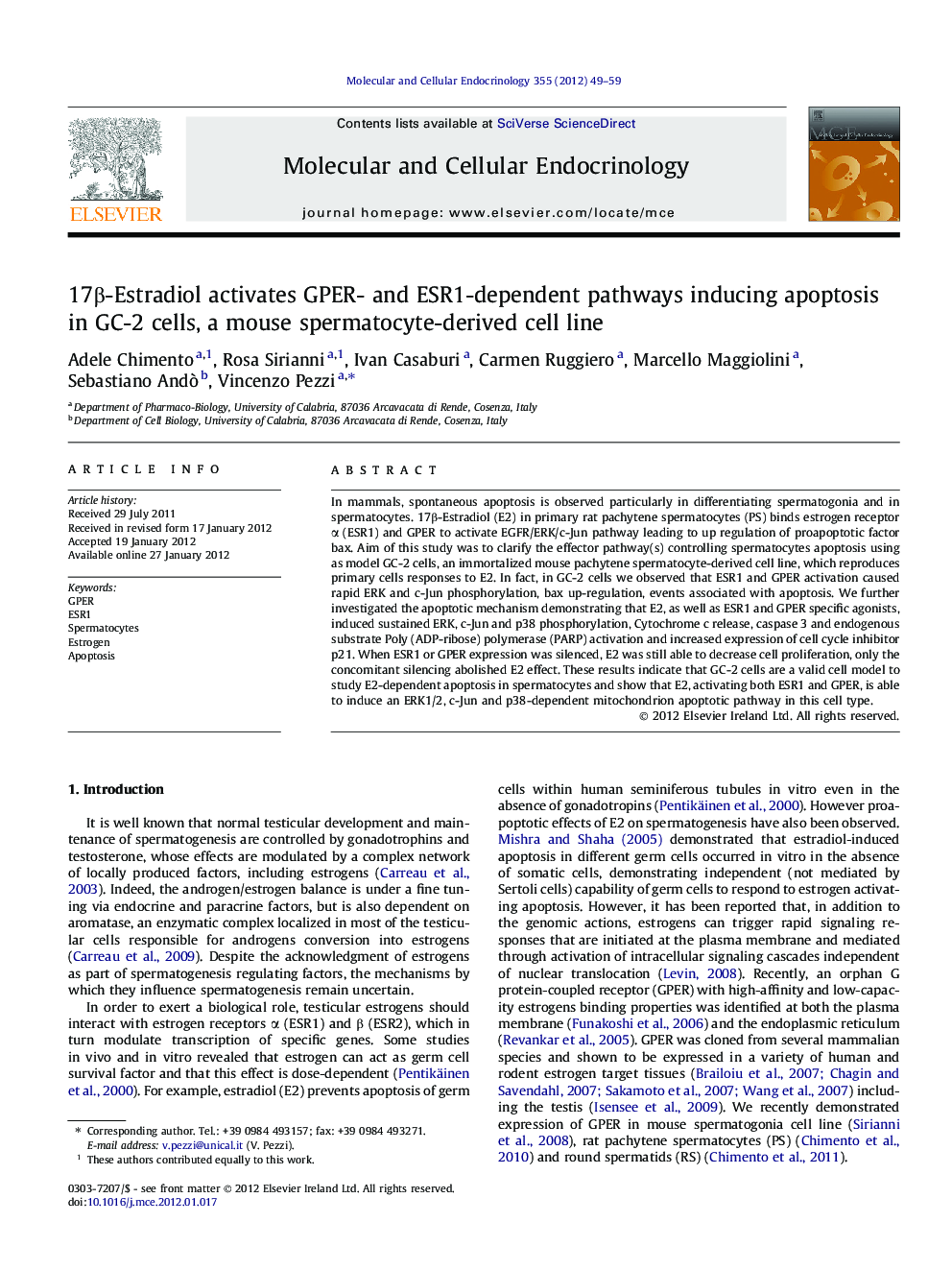 17Î²-Estradiol activates GPER- and ESR1-dependent pathways inducing apoptosis in GC-2 cells, a mouse spermatocyte-derived cell line