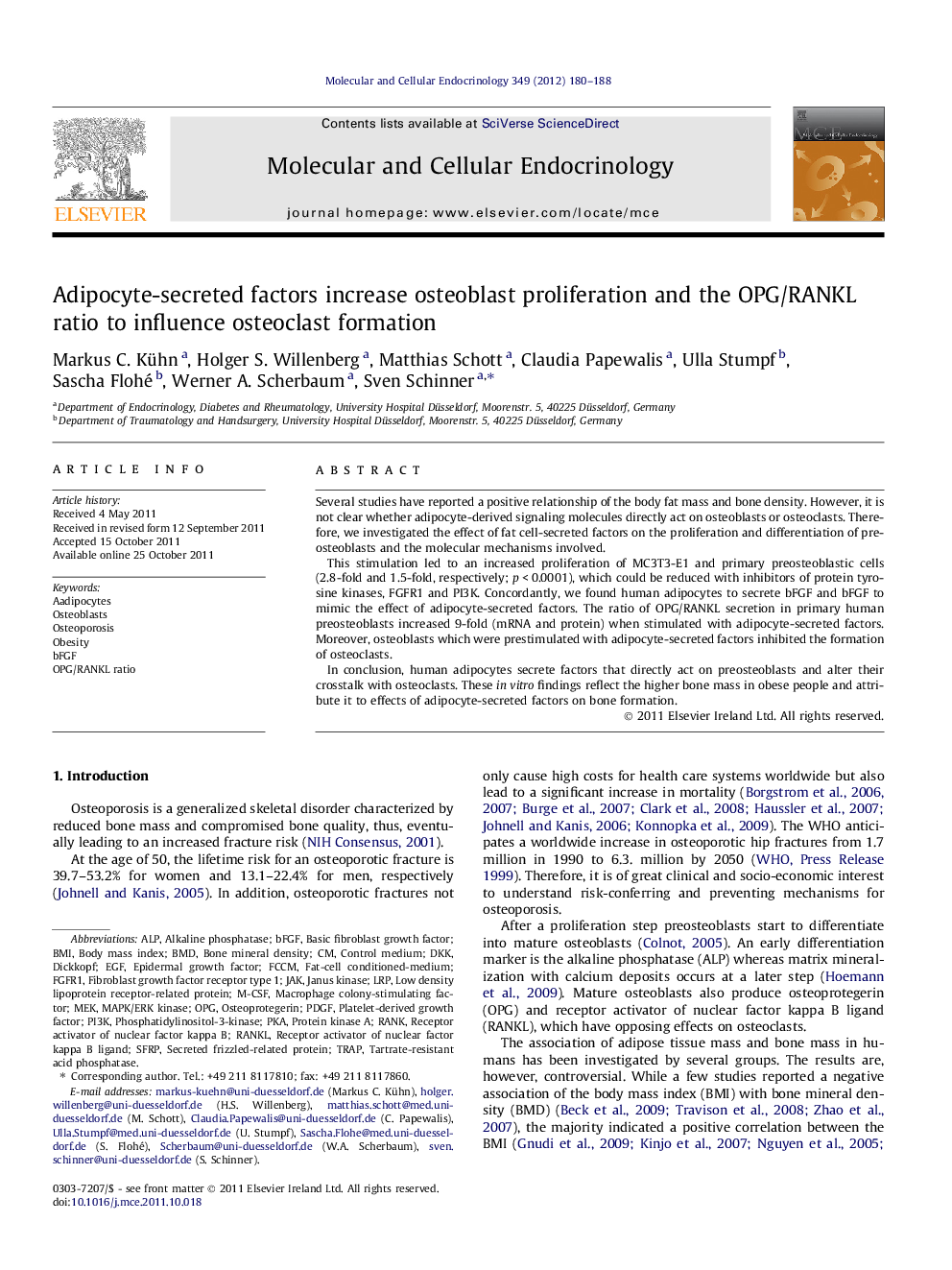 Adipocyte-secreted factors increase osteoblast proliferation and the OPG/RANKL ratio to influence osteoclast formation