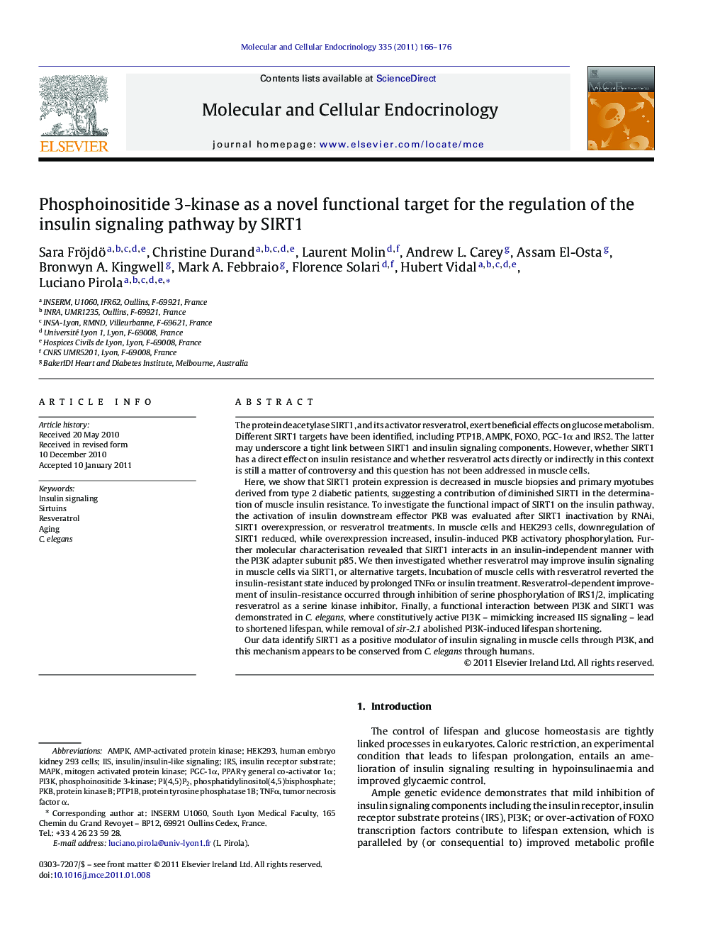 Phosphoinositide 3-kinase as a novel functional target for the regulation of the insulin signaling pathway by SIRT1