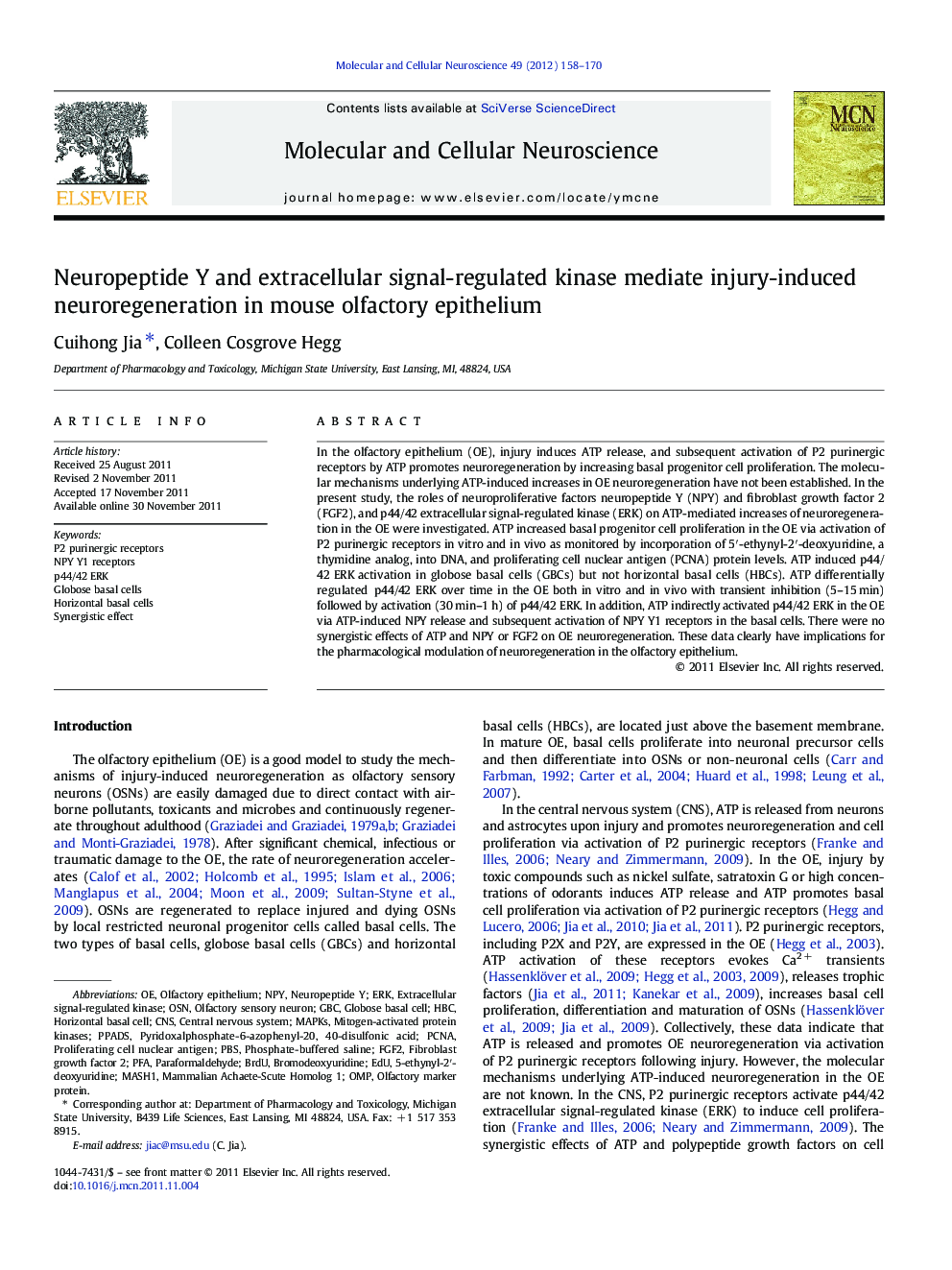 Neuropeptide Y and extracellular signal-regulated kinase mediate injury-induced neuroregeneration in mouse olfactory epithelium