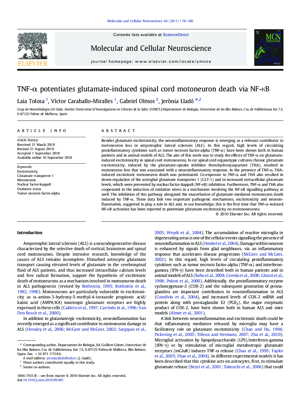 TNF-Î± potentiates glutamate-induced spinal cord motoneuron death via NF-ÎºB