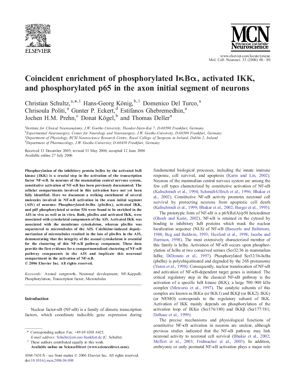 Coincident enrichment of phosphorylated IÎºBÎ±, activated IKK, and phosphorylated p65 in the axon initial segment of neurons