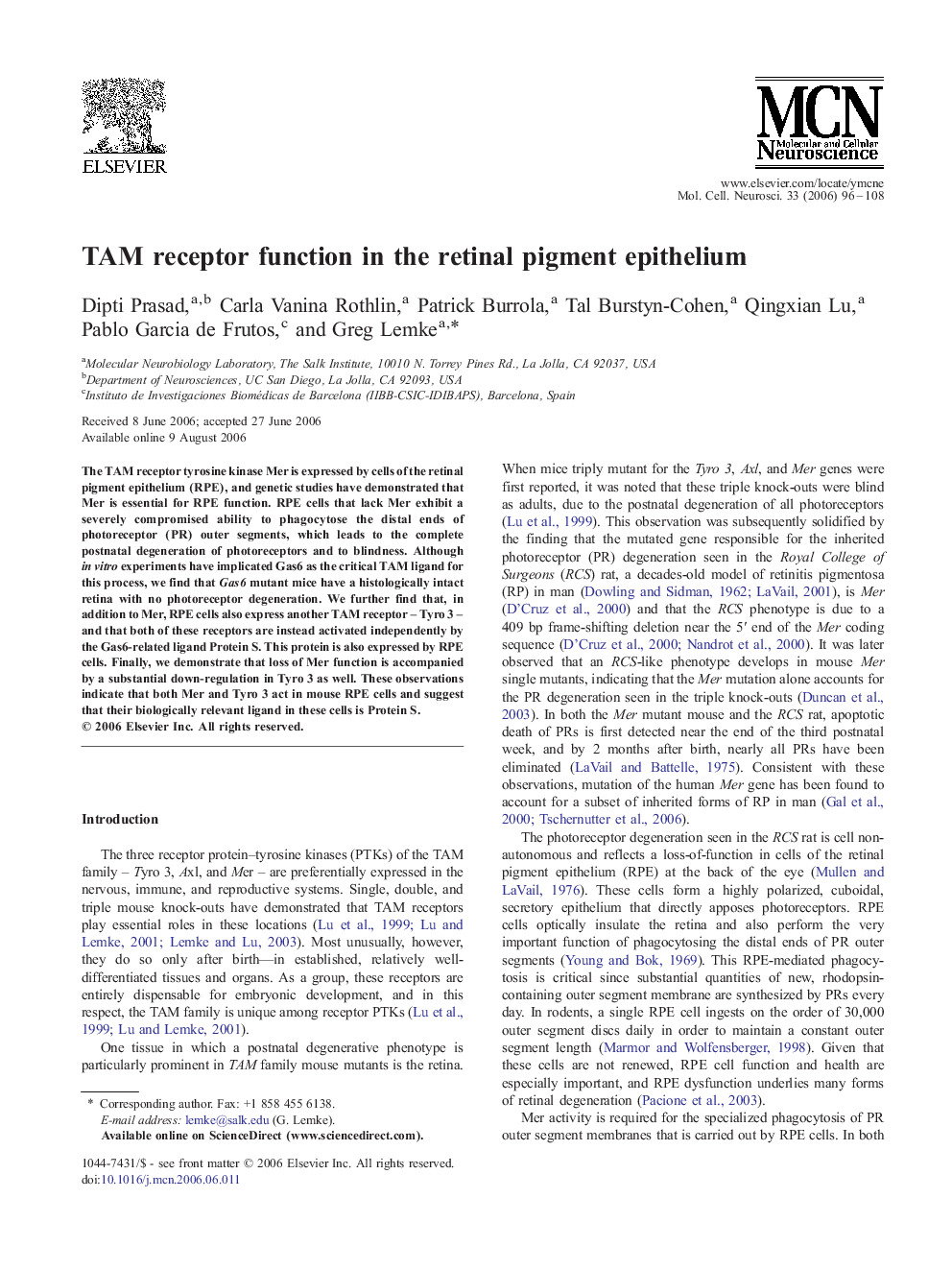 TAM receptor function in the retinal pigment epithelium