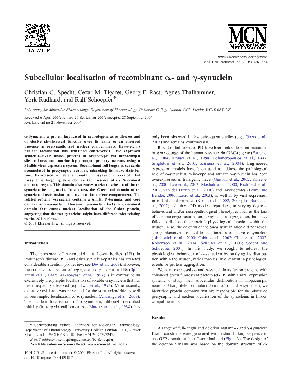 Subcellular localisation of recombinant Î±- and Î³-synuclein