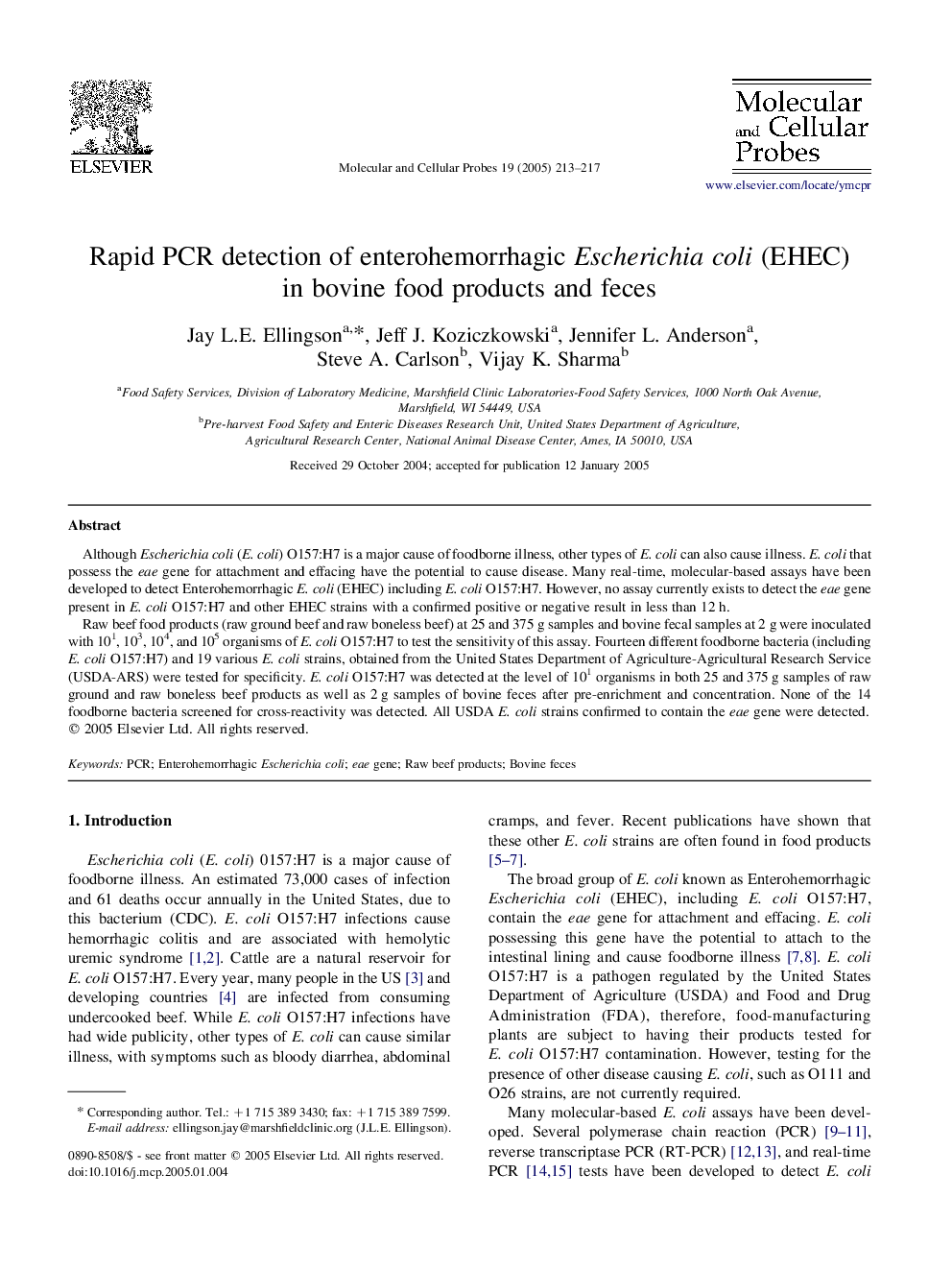 Rapid PCR detection of enterohemorrhagic Escherichia coli (EHEC) in bovine food products and feces