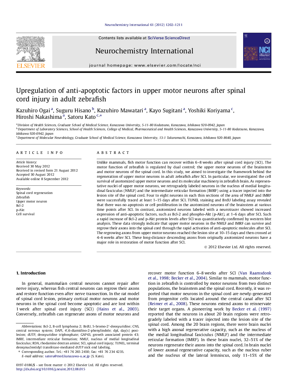 Upregulation of anti-apoptotic factors in upper motor neurons after spinal cord injury in adult zebrafish