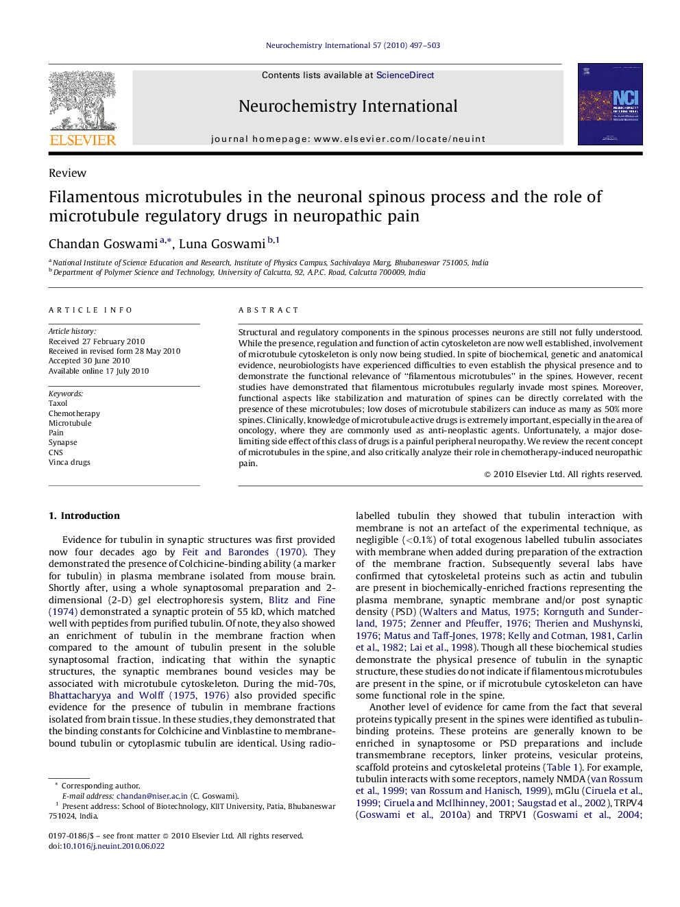 Filamentous microtubules in the neuronal spinous process and the role of microtubule regulatory drugs in neuropathic pain