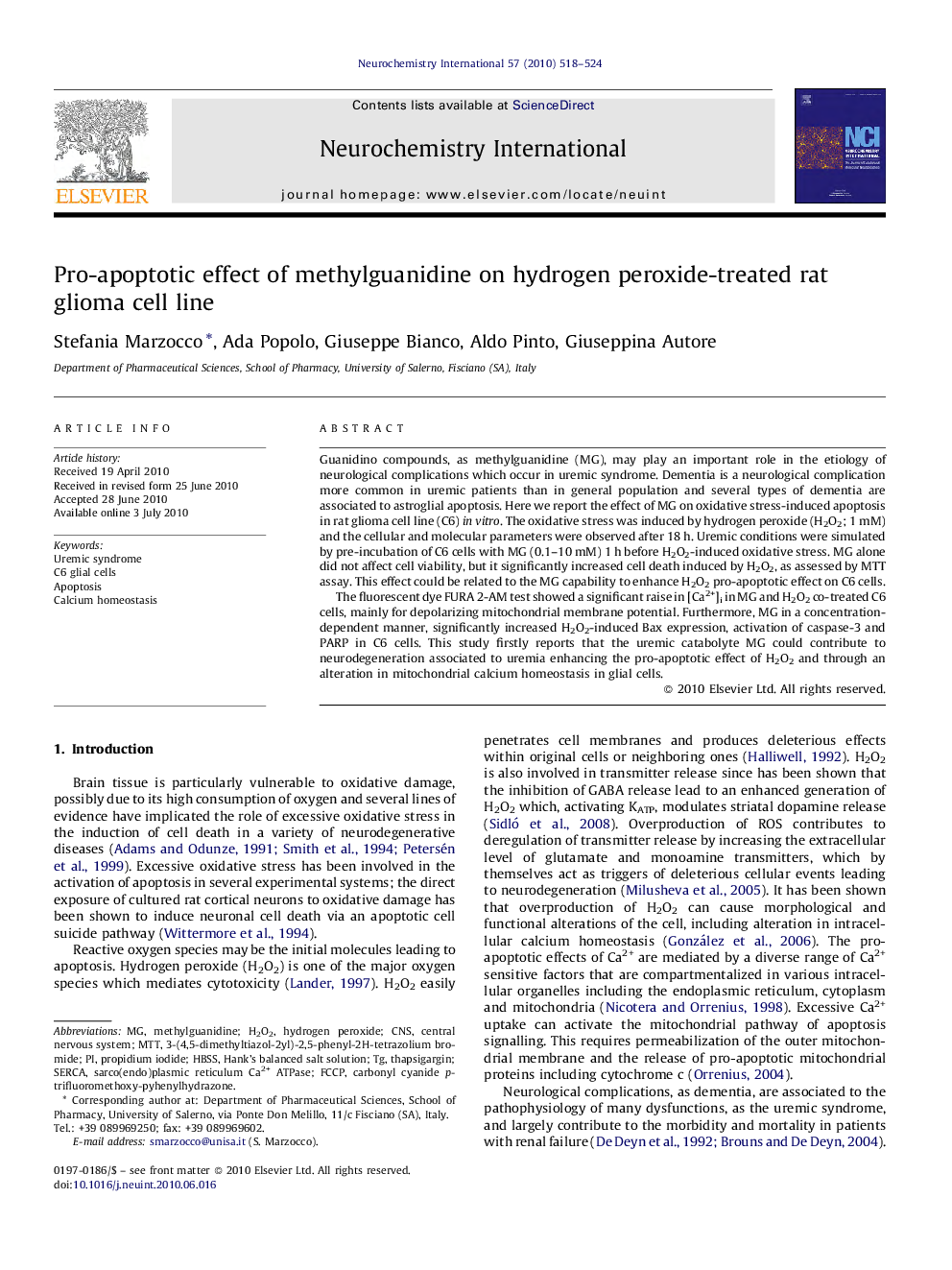 Pro-apoptotic effect of methylguanidine on hydrogen peroxide-treated rat glioma cell line