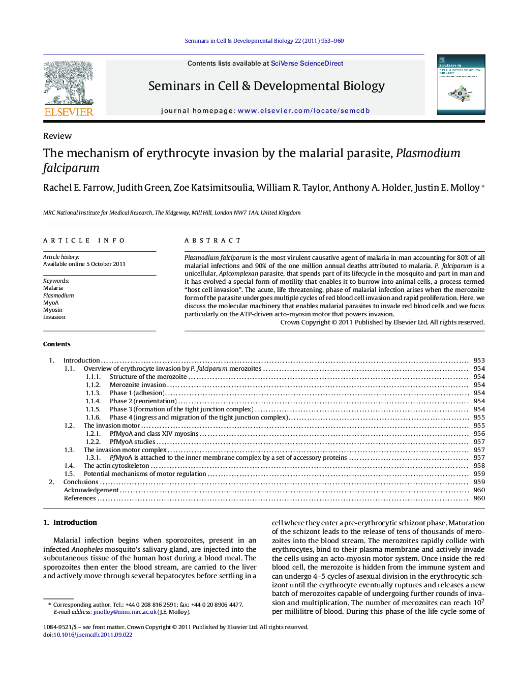 The mechanism of erythrocyte invasion by the malarial parasite, Plasmodium falciparum