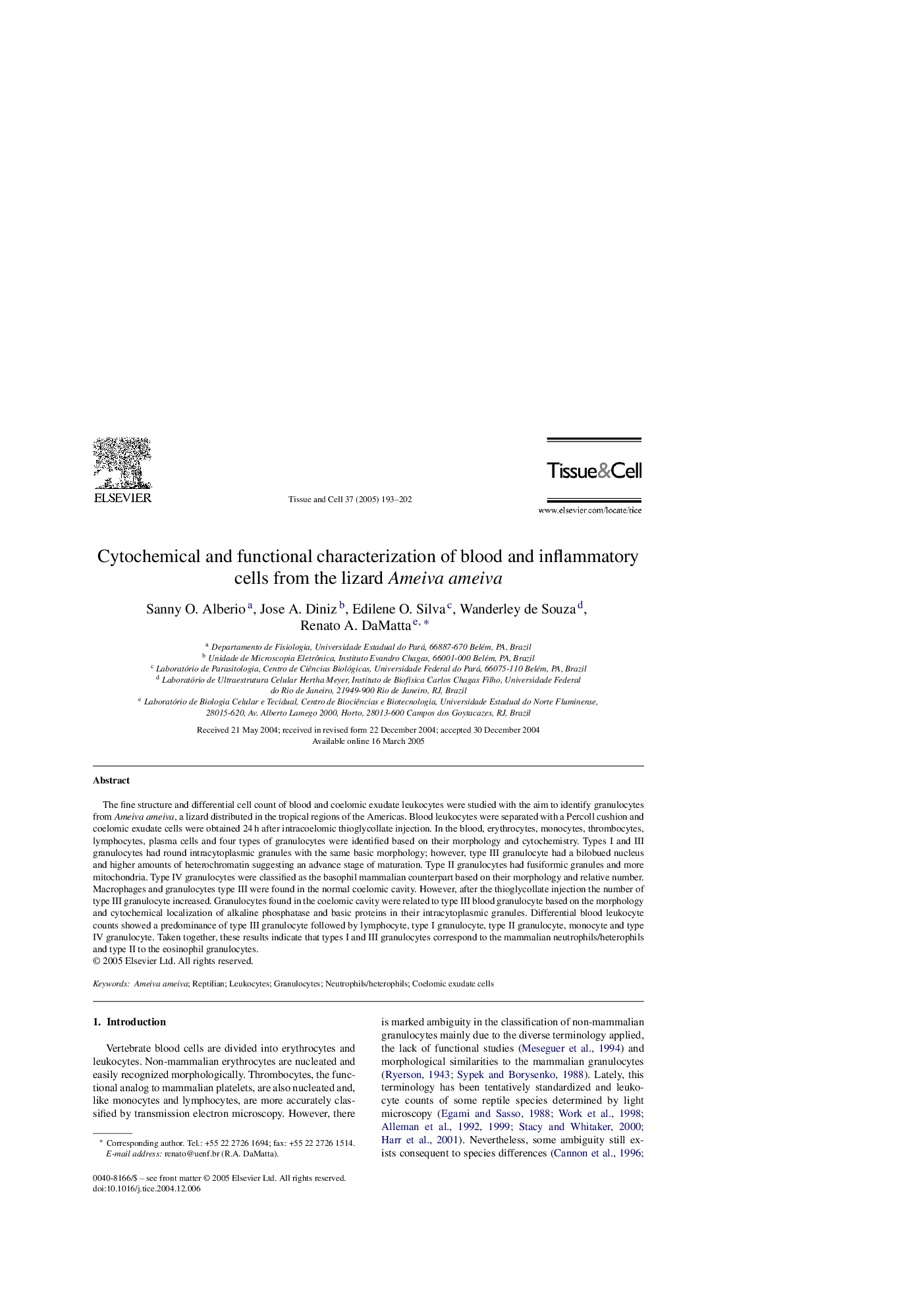 Cytochemical and functional characterization of blood and inflammatory cells from the lizard Ameiva ameiva