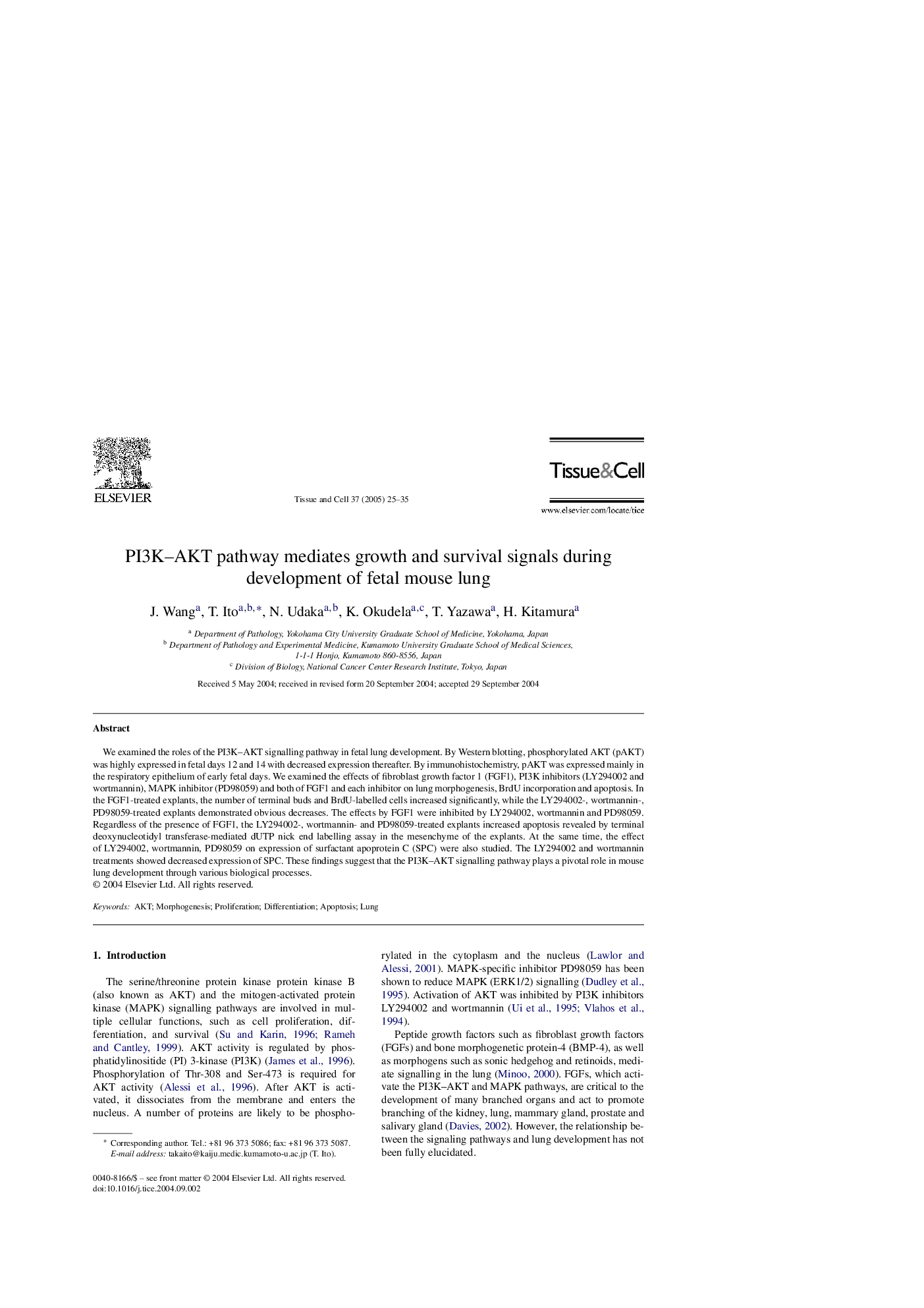 PI3K-AKT pathway mediates growth and survival signals during development of fetal mouse lung