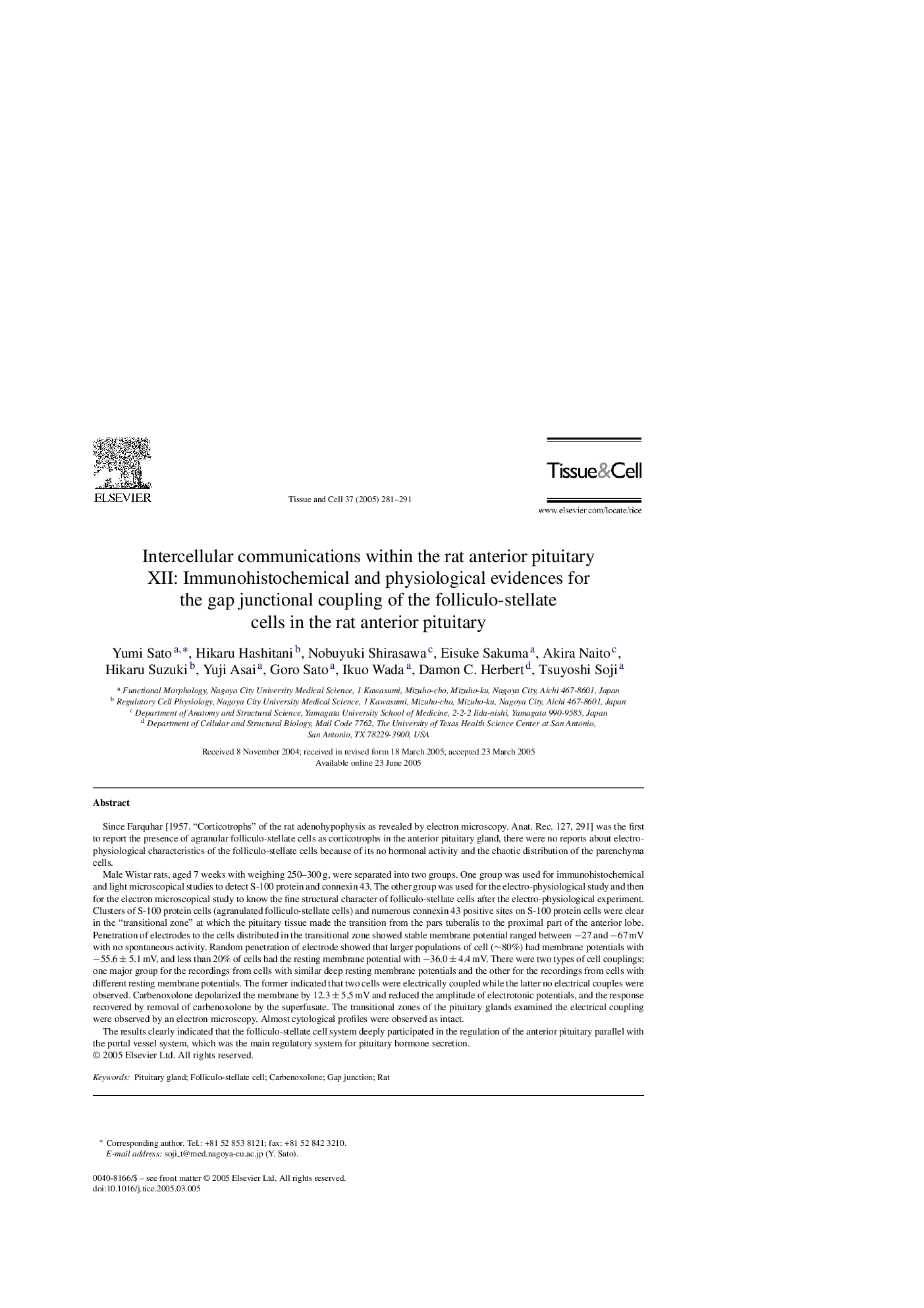 Intercellular communications within the rat anterior pituitary