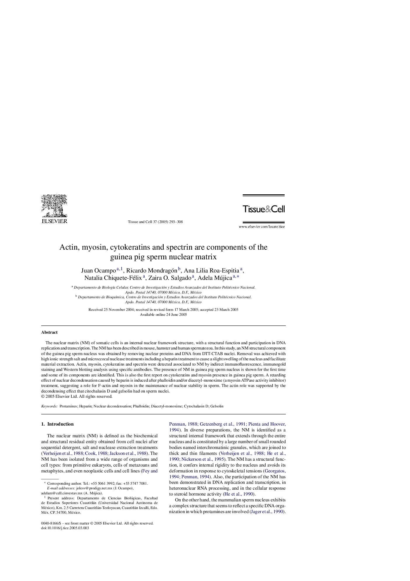 Actin, myosin, cytokeratins and spectrin are components of the guinea pig sperm nuclear matrix