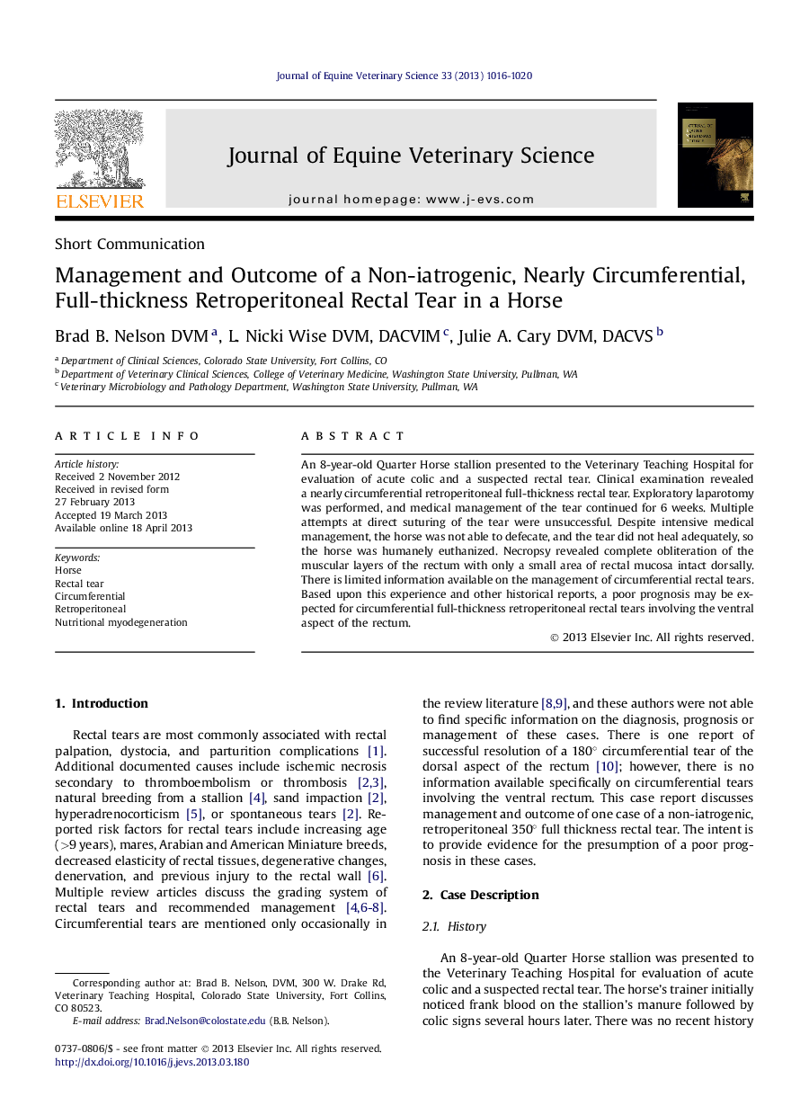 Management and Outcome of a Non-iatrogenic, Nearly Circumferential, Full-thickness Retroperitoneal Rectal Tear in a Horse