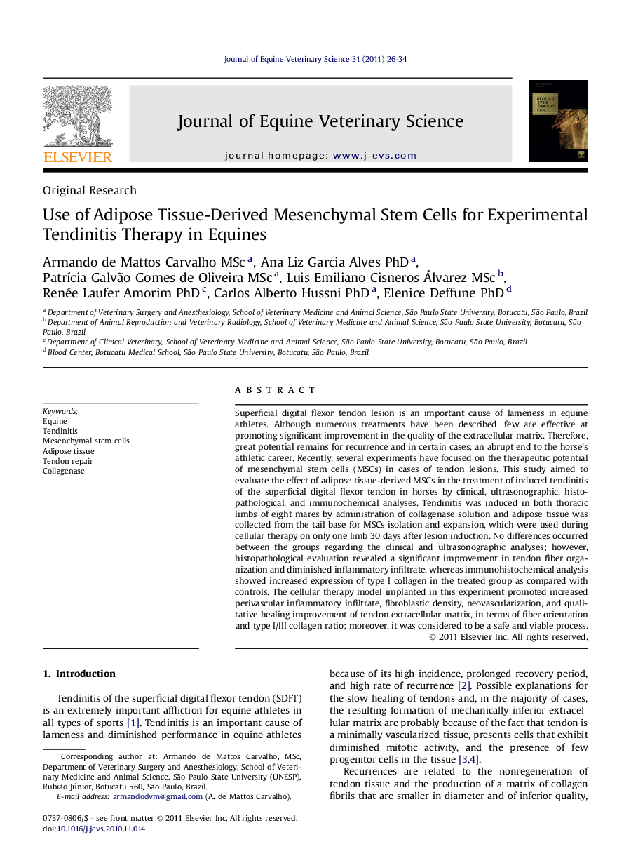 Use of Adipose Tissue-Derived Mesenchymal Stem Cells for Experimental Tendinitis Therapy in Equines