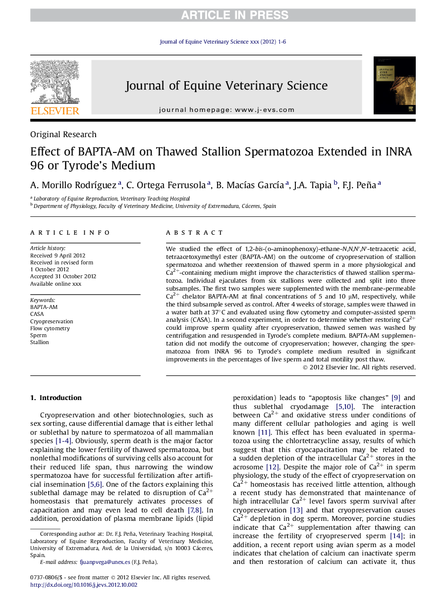 Effect of BAPTA-AM on Thawed Stallion Spermatozoa Extended in INRA 96 or Tyrode's Medium