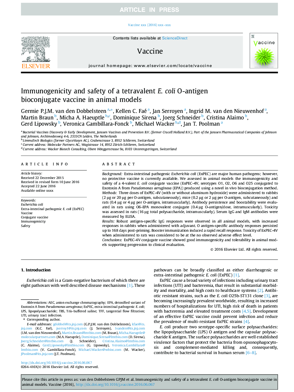 Immunogenicity and safety of a tetravalent E. coli O-antigen bioconjugate vaccine in animal models