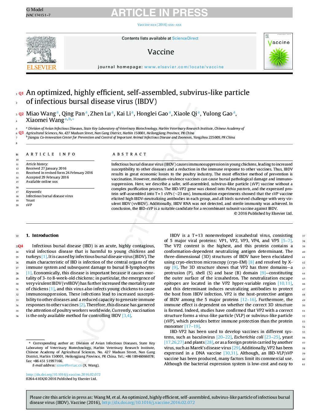 An optimized, highly efficient, self-assembled, subvirus-like particle of infectious bursal disease virus (IBDV)