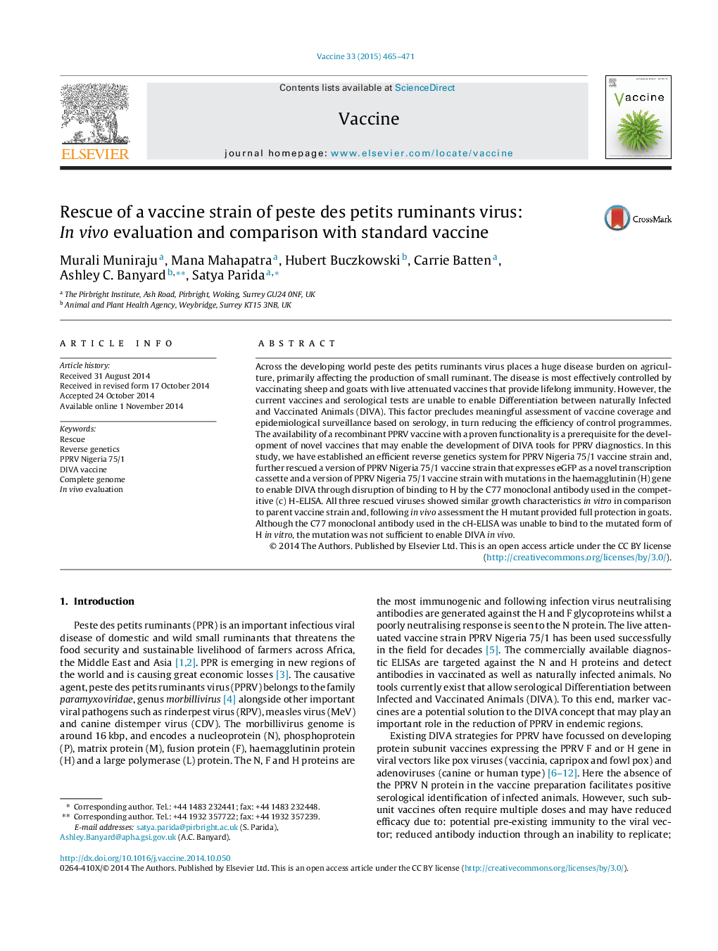 Rescue of a vaccine strain of peste des petits ruminants virus: In vivo evaluation and comparison with standard vaccine