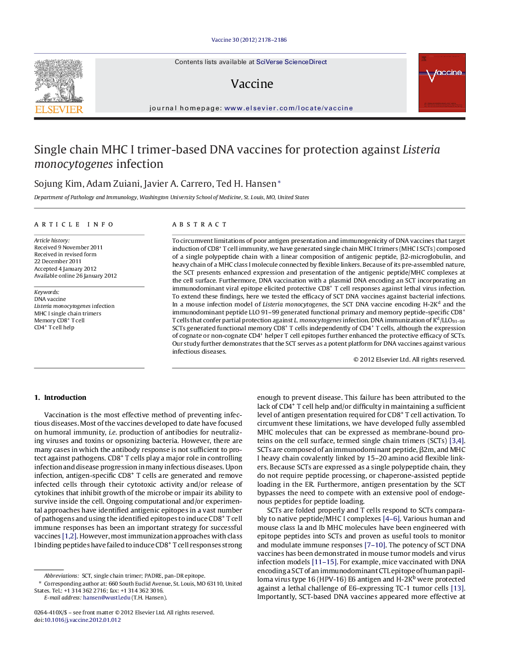 Single chain MHC I trimer-based DNA vaccines for protection against Listeria monocytogenes infection