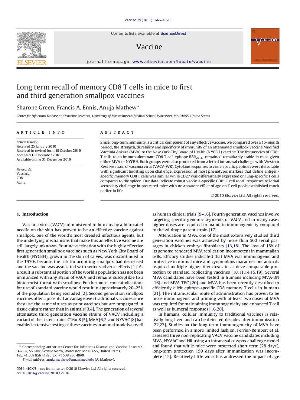 Long term recall of memory CD8 T cells in mice to first and third generation smallpox vaccines