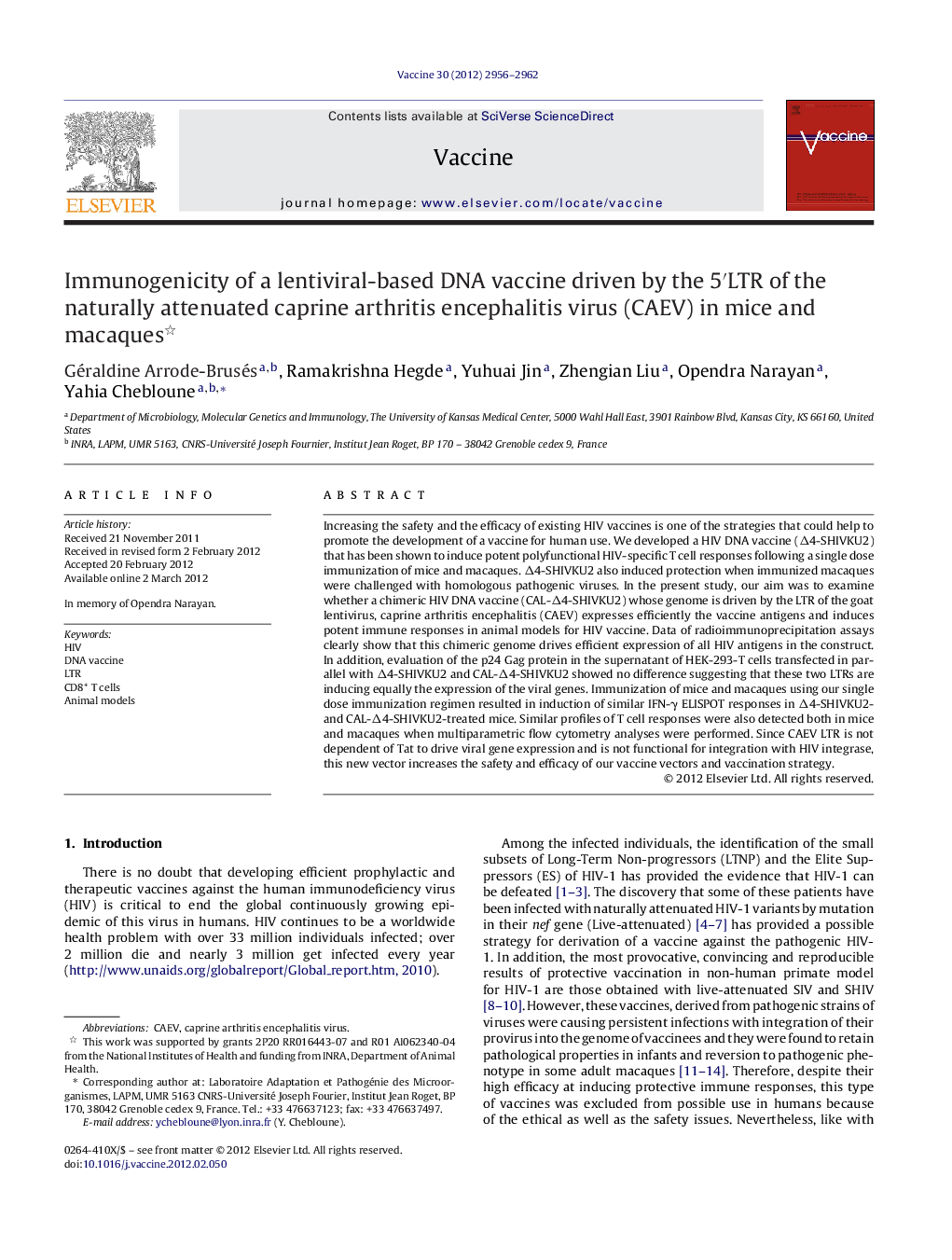 Immunogenicity of a lentiviral-based DNA vaccine driven by the 5â²LTR of the naturally attenuated caprine arthritis encephalitis virus (CAEV) in mice and macaques