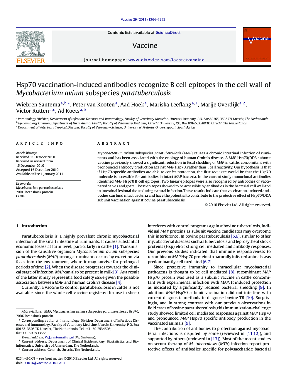 Hsp70 vaccination-induced antibodies recognize B cell epitopes in the cell wall of Mycobacterium avium subspecies paratuberculosis